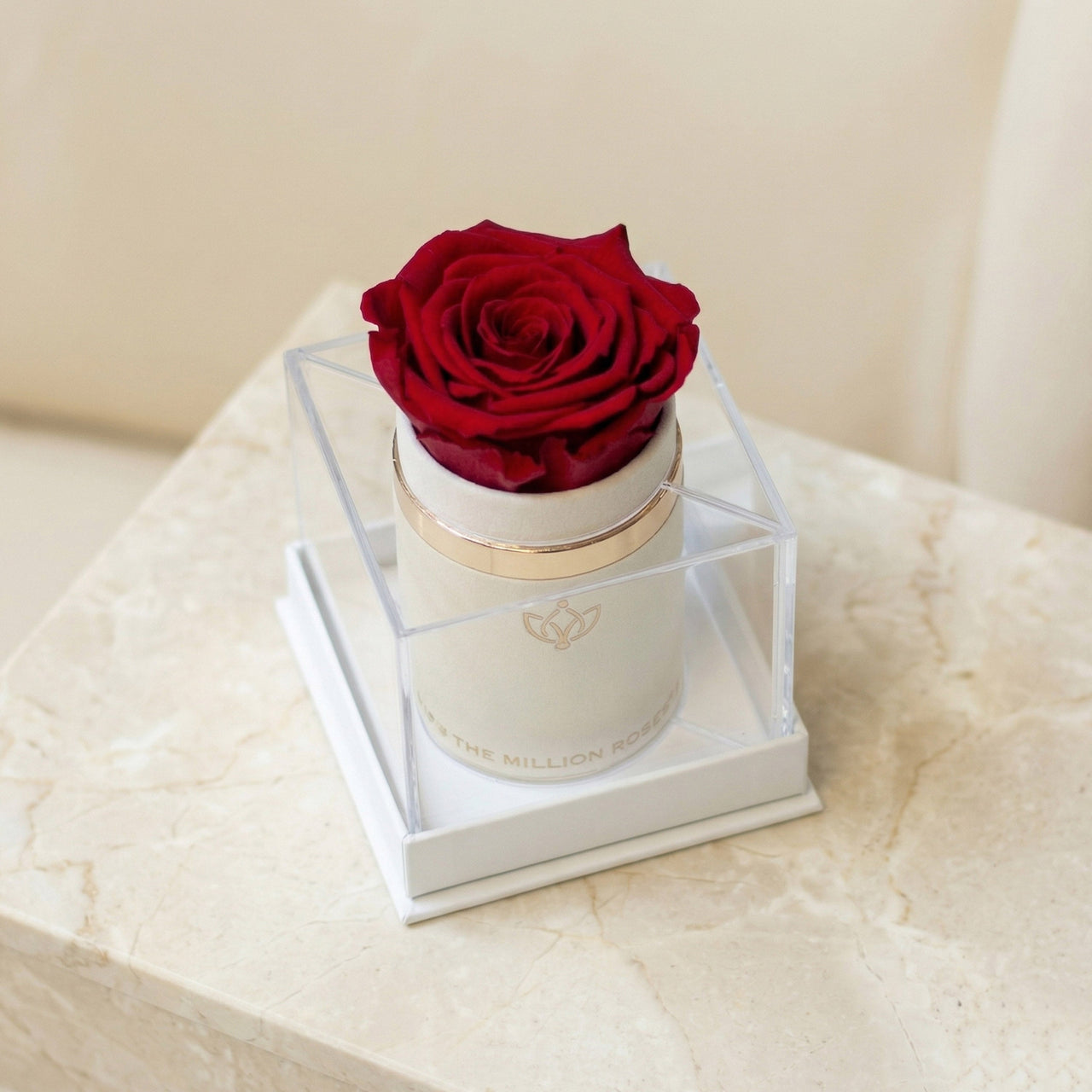 Single White Suede Box | Red Rose