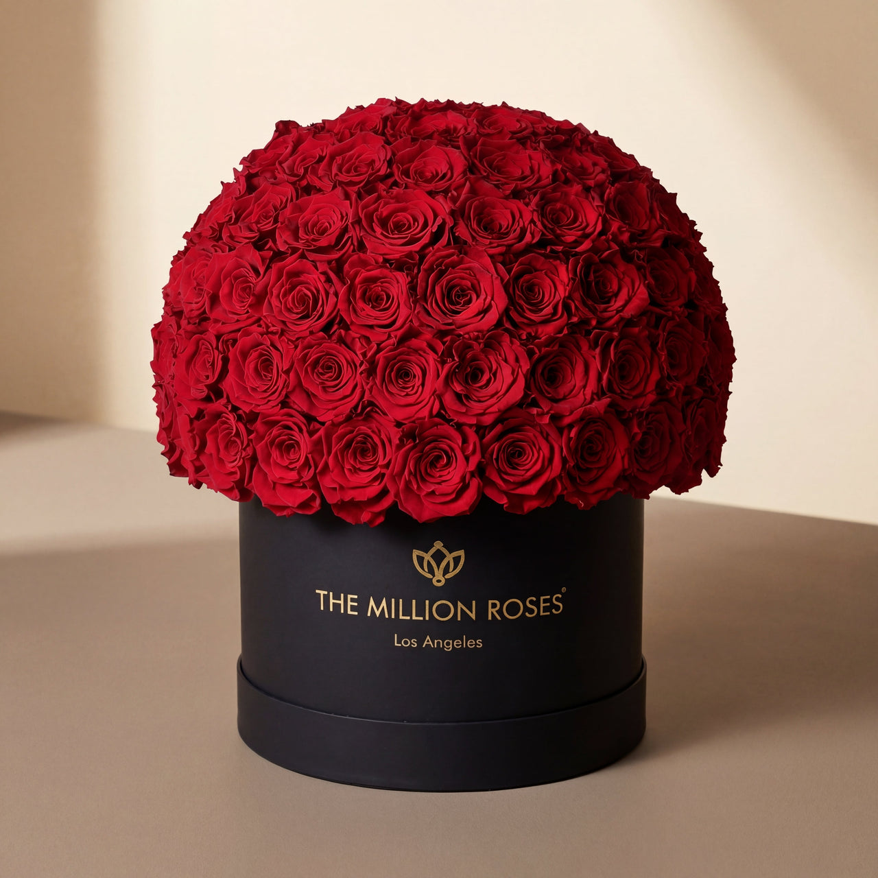 Supreme Black Superdome Box | Red Roses