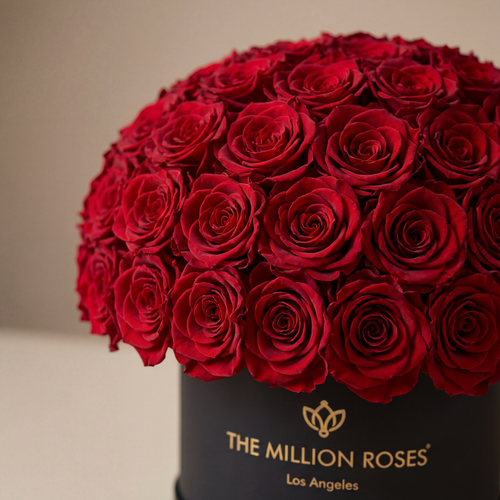 Supreme Black Superdome Box | Red Roses