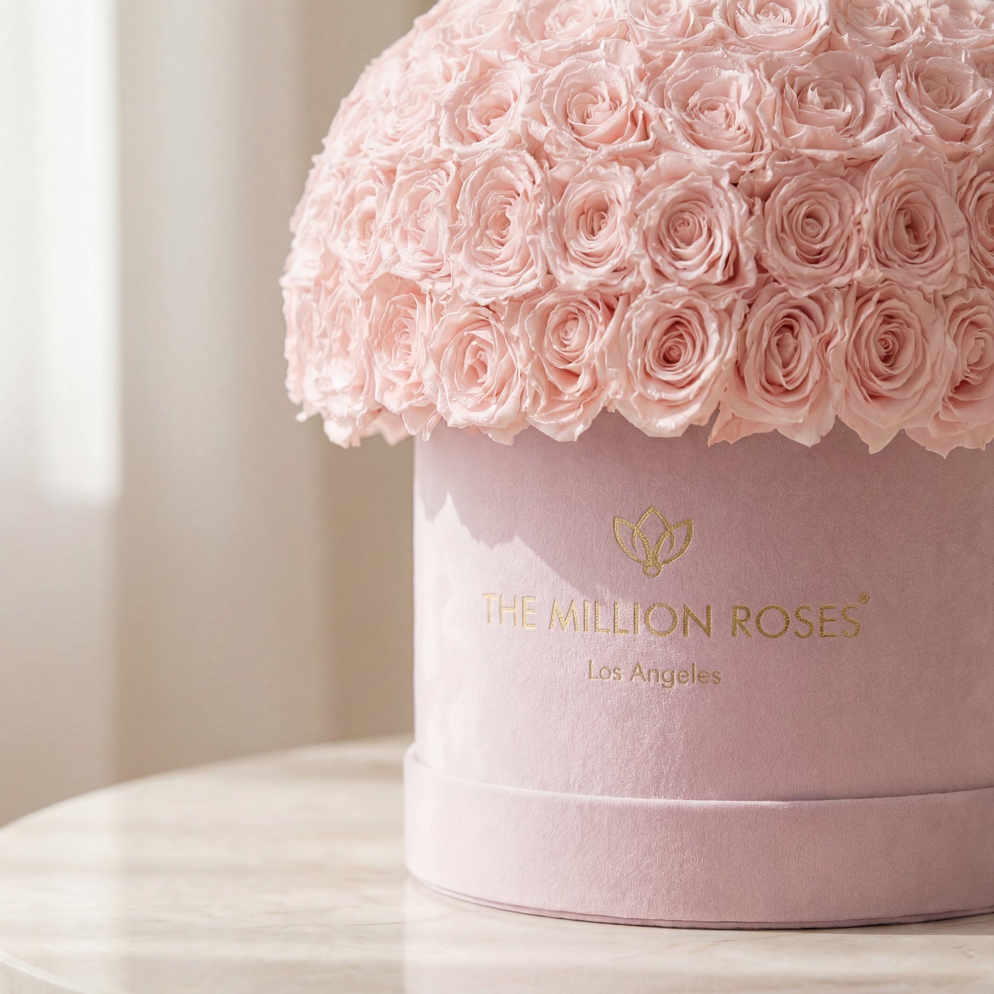 Supreme Light Pink Suede Superdome Box | Light Pink Roses