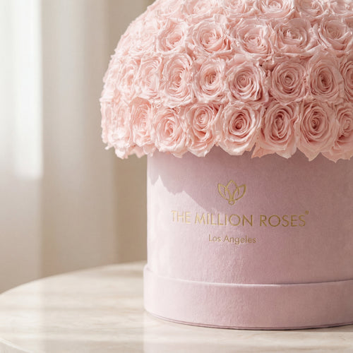 Supreme Light Pink Suede Superdome Box | Light Pink Roses