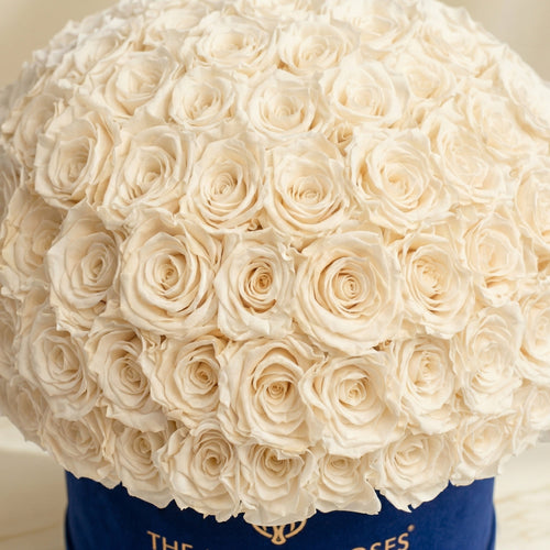 Supreme Royal Blue Suede Superdome Box | White Roses