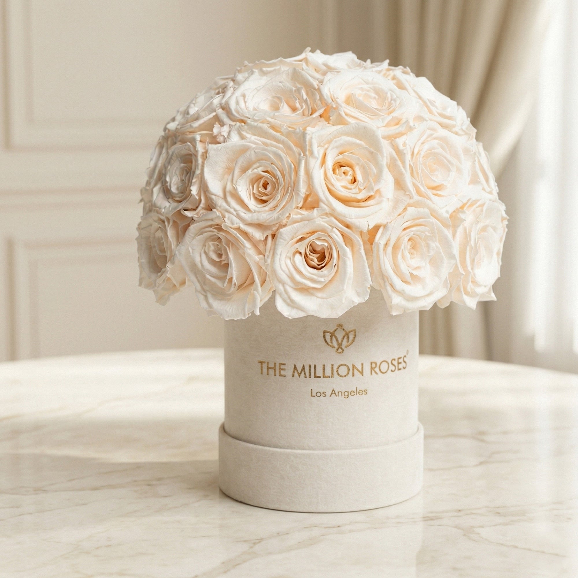 Basic Beige Suede Superdome Box | White Roses