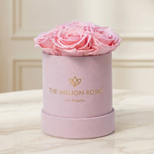 Basic Light Pink Suede Box | Light Pink Roses