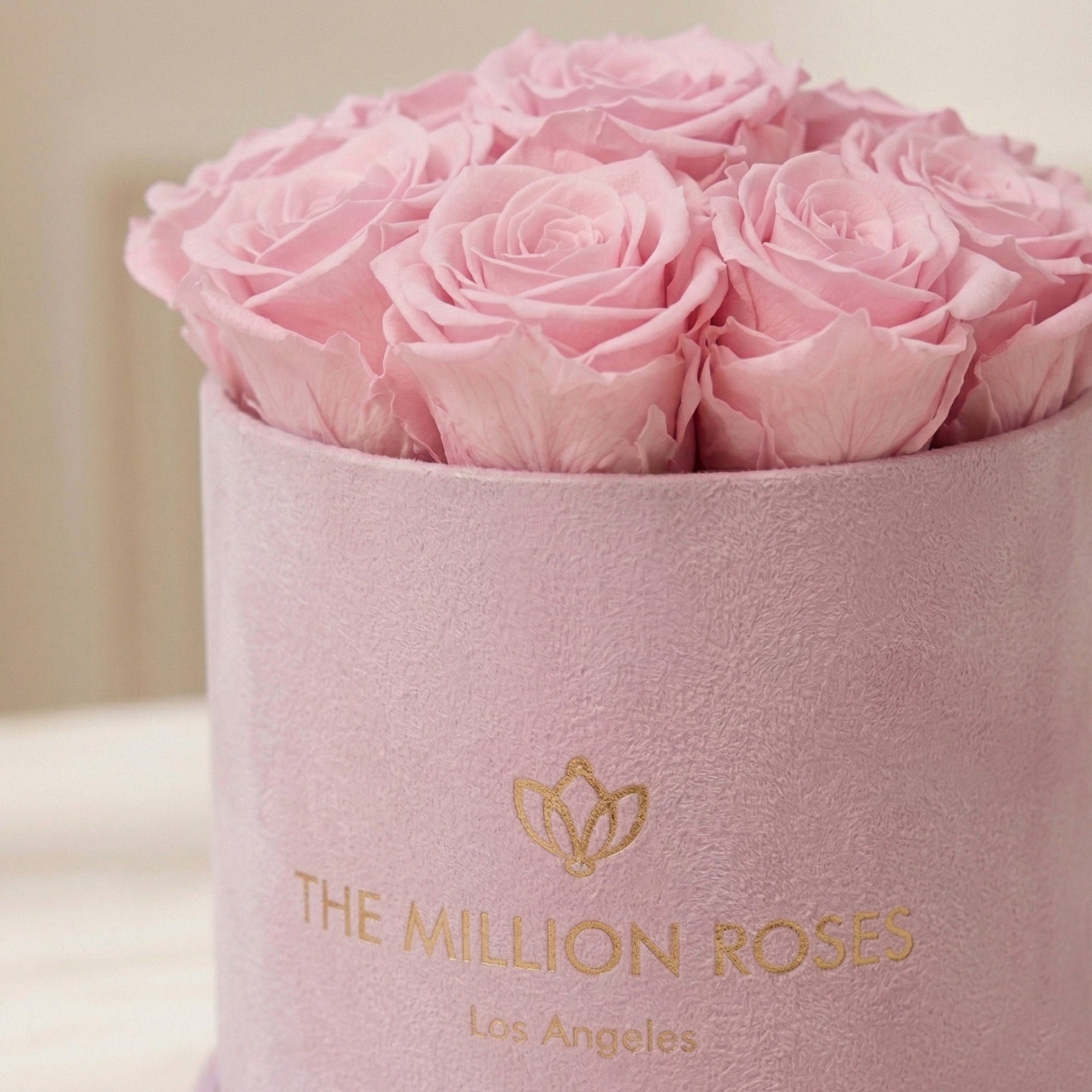 Basic Light Pink Suede Box | Light Pink Roses