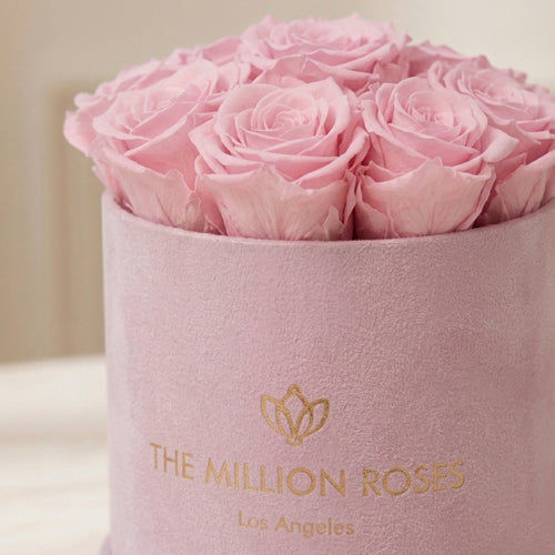 Basic Light Pink Suede Box | Light Pink Roses