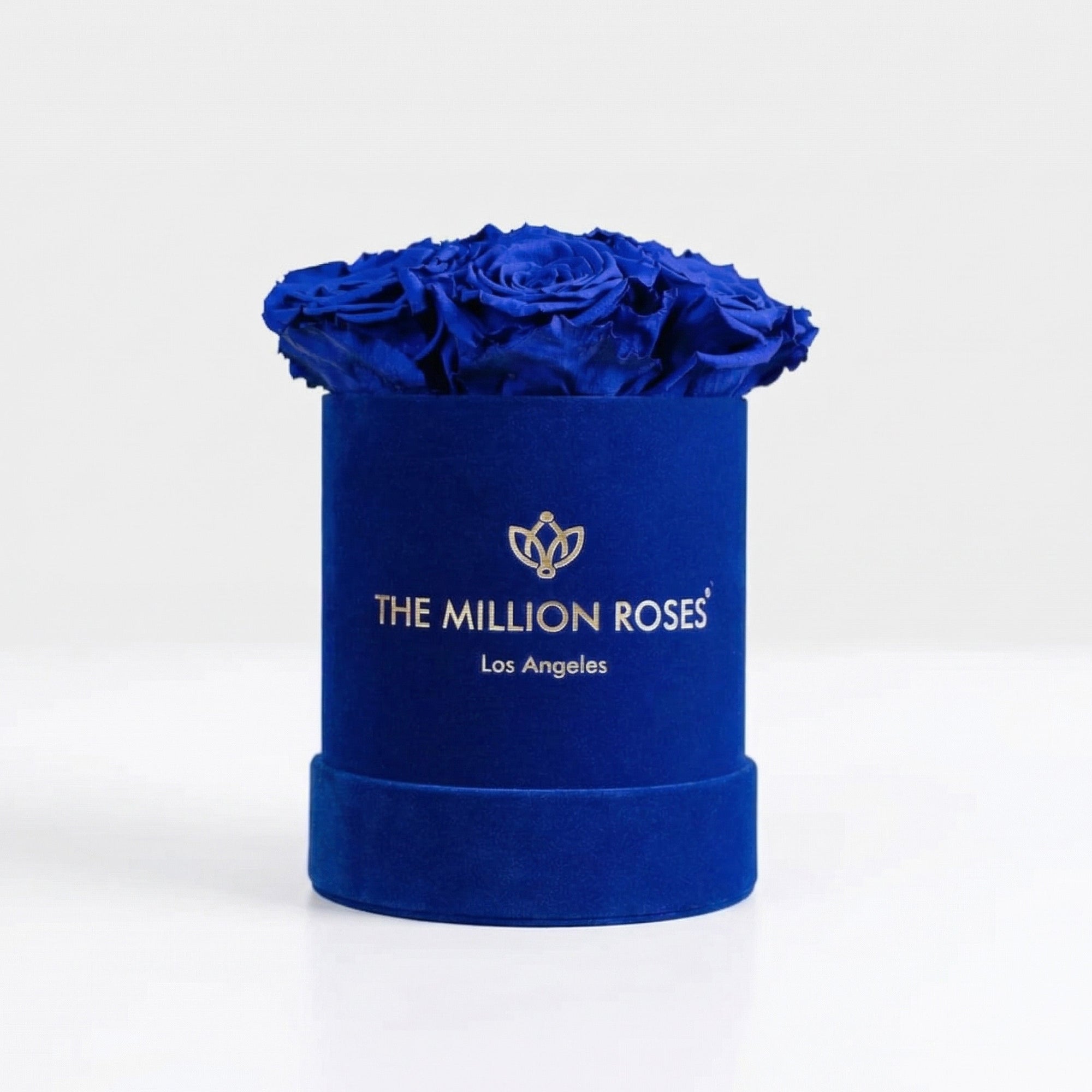 Basic Royal Blue Suede Box | Royal Blue Roses