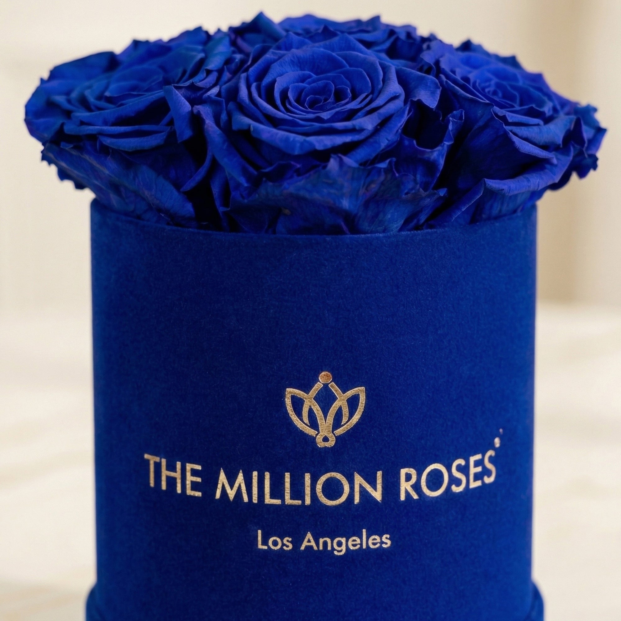 Basic Royal Blue Suede Box | Royal Blue Roses