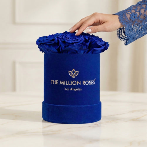 Basic Royal Blue Suede Box | Royal Blue Roses
