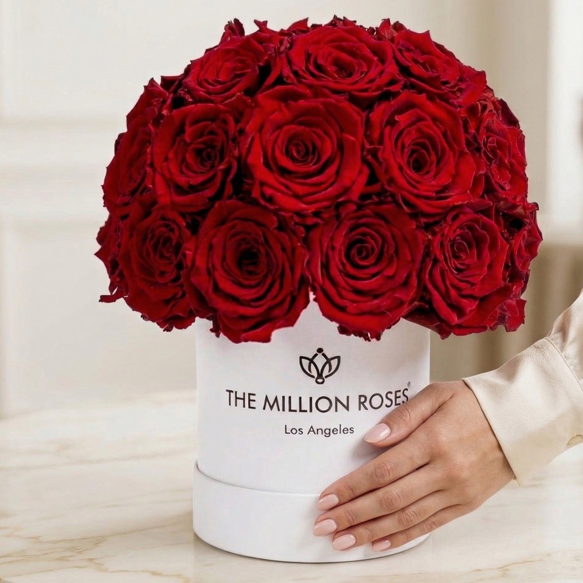 Basic White Superdome Box | Red Roses