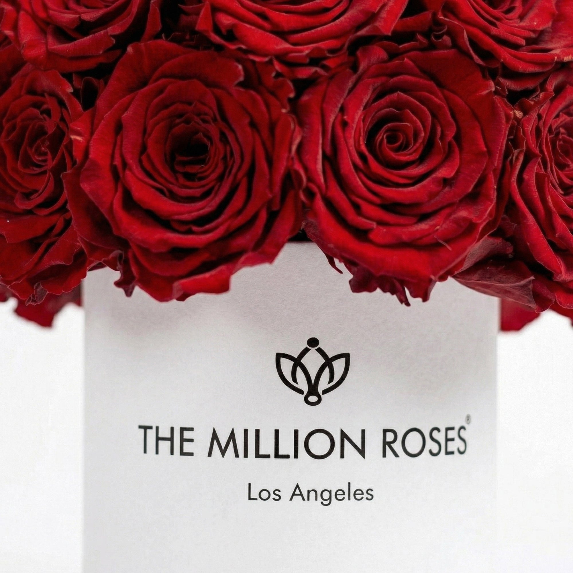 Basic White Superdome Box | Red Roses