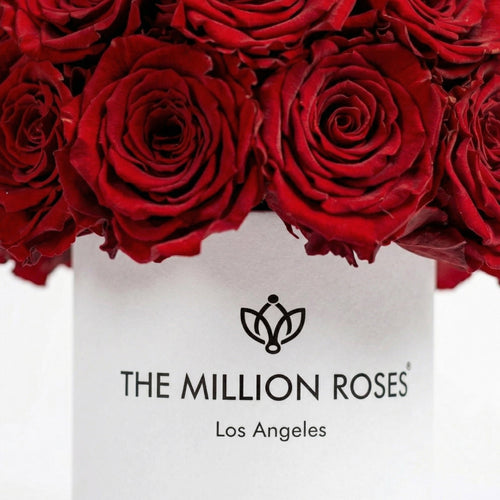 Basic White Superdome Box | Red Roses