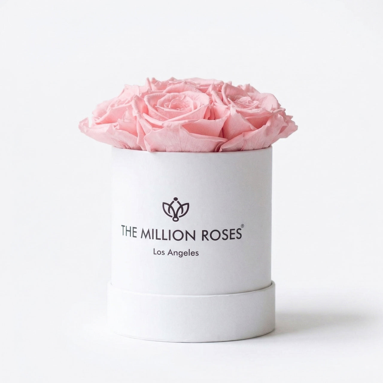 Basic White Box | Light Pink Roses