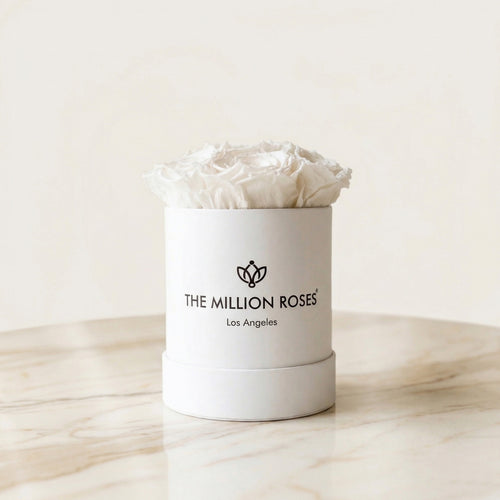 Basic White Box | White Roses