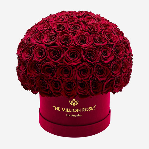 Supreme Bordeaux Suede Superdome Box | Burgundy Roses