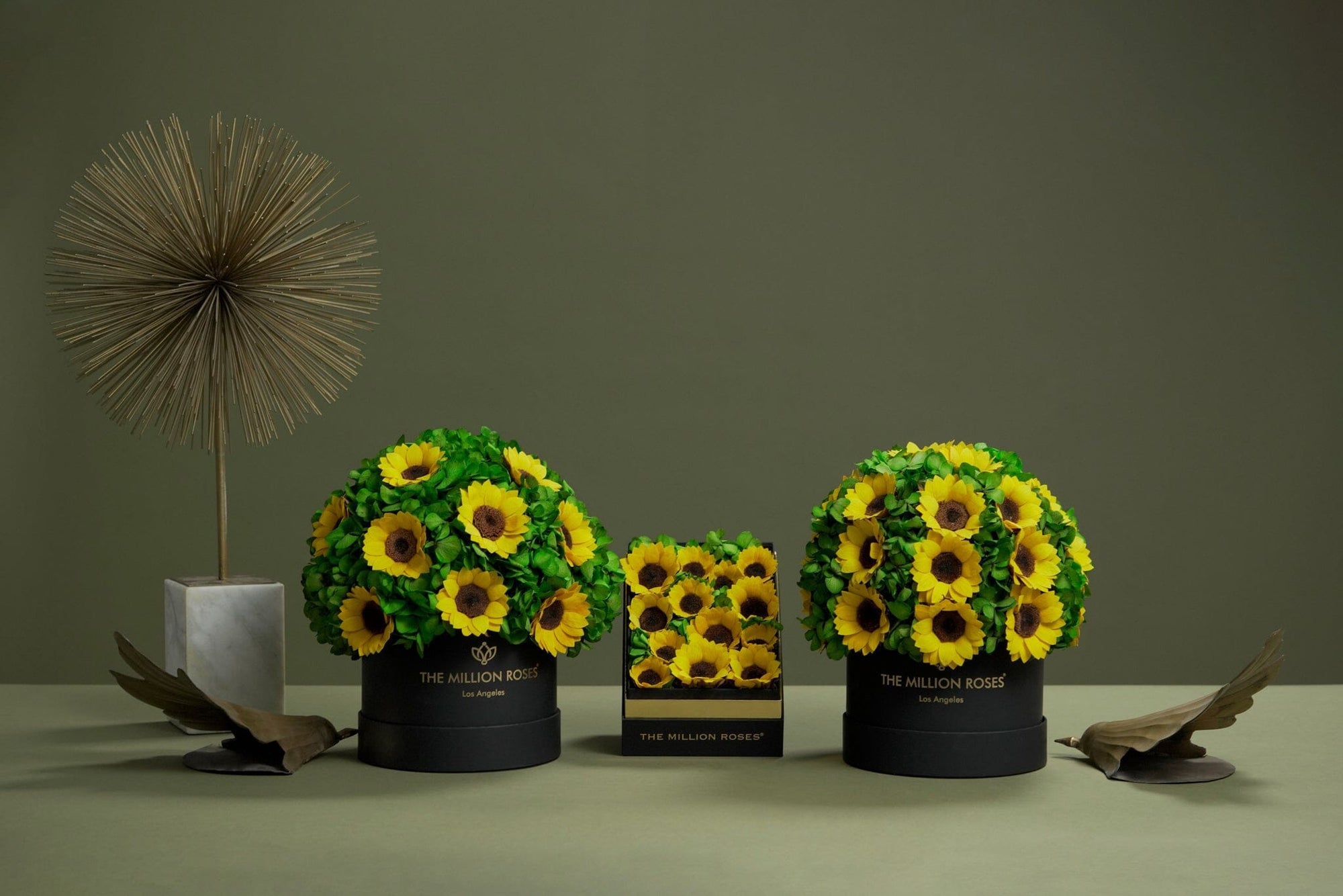 Classic White Box | Green Hydrangeas & Sunflowers