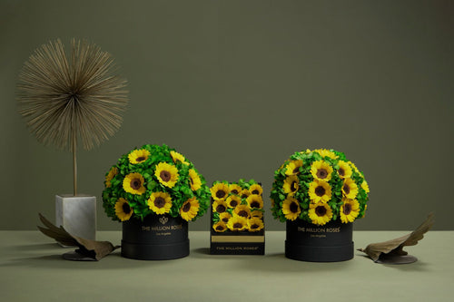 Classic White Box | Green Hydrangeas & Sunflowers