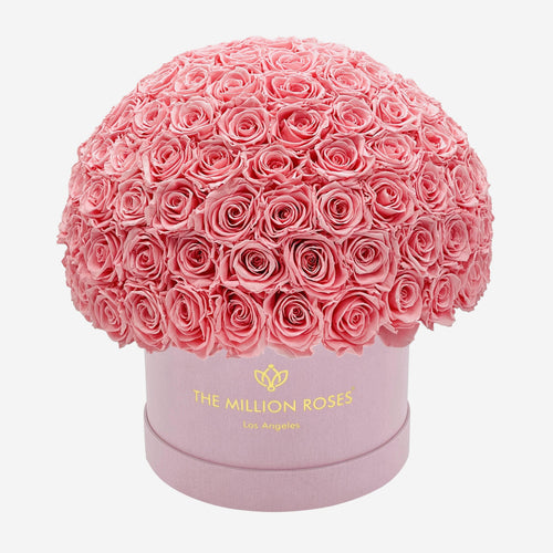 Supreme Light Pink Suede Superdome Box | Light Pink Roses