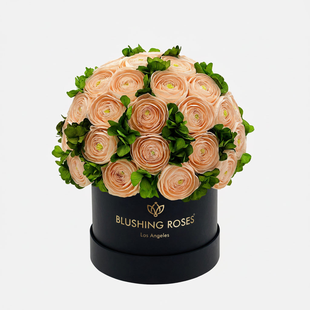 Luxury peach preserved roses with green hydrangeas in black flower box, elegant forever roses arrangement for luxury home décor | Blushing Roses Floral arrangement in a black box with Blushing  Roses' branding on a white background