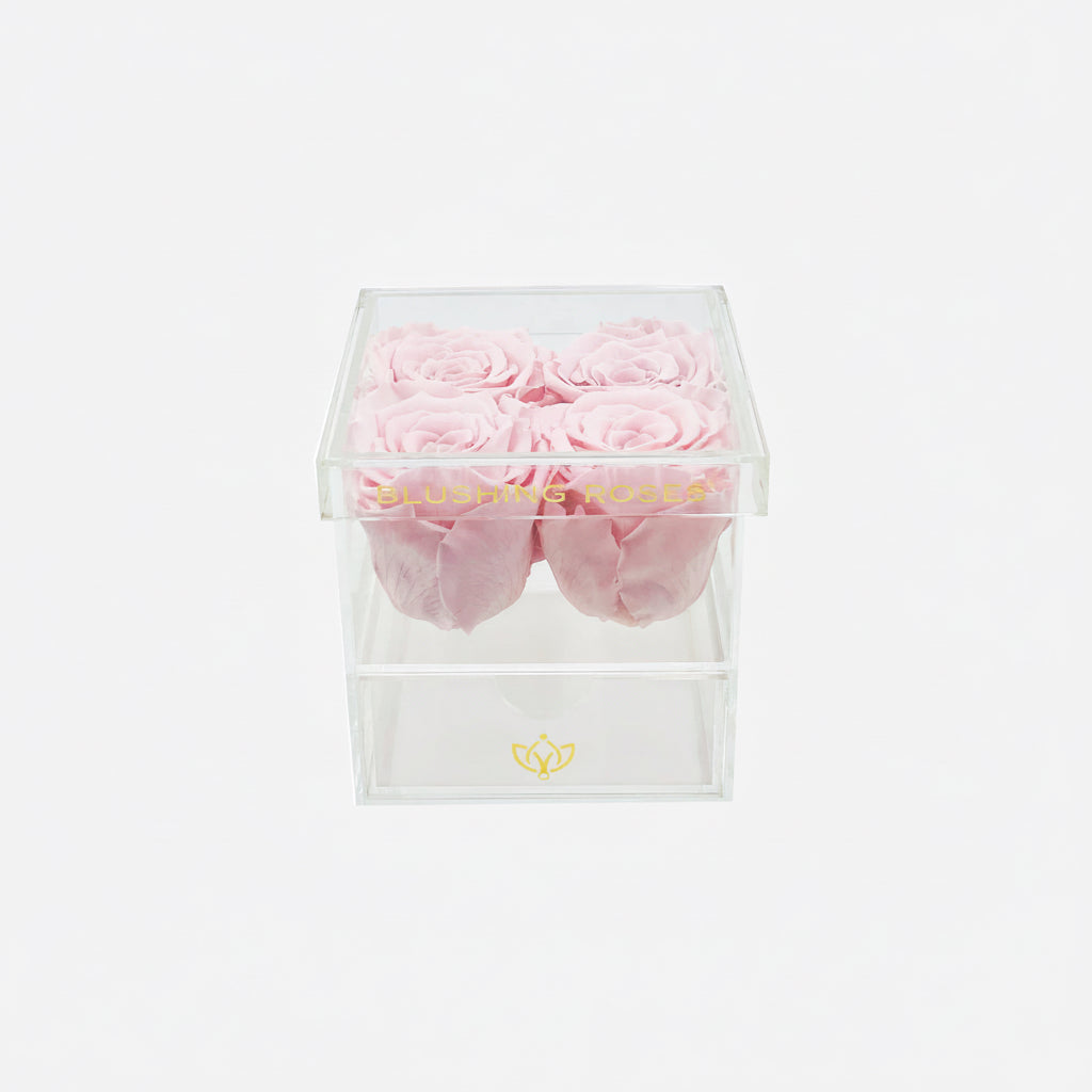     Pink eternal roses in transparent acrylic rose box, long-lasting preserved flowers for luxury gifting and modern home décor | Blushing Roses Clear cube with pink roses and blushing roses branding on a white background