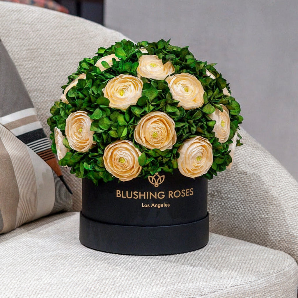 Peach forever roses and green hydrangeas in luxury black floral box, preserved flower arrangement for birthdays and anniversaries | Blushing Roses ,Floral arrangement in a black box with 'Blushing Roses' branding on a couch.