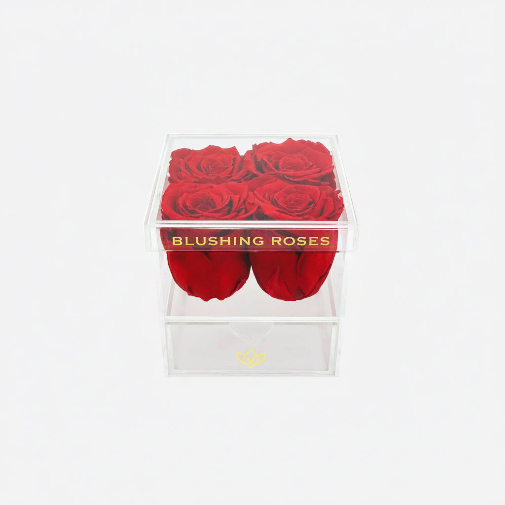Long-lasting red preserved roses in transparent acrylic rose box, luxury floral gift for her and romantic home décor | Blushing Roses , Box of red roses with 'Blushing Roses' branding on a white background