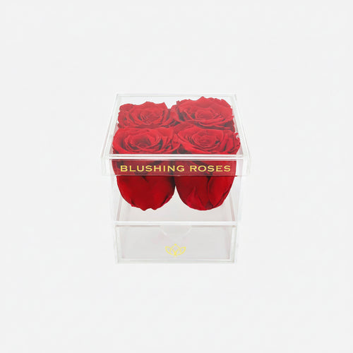 Long-lasting red preserved roses in transparent acrylic rose box, luxury floral gift for her and romantic home décor | Blushing Roses , Box of red roses with 'Blushing Roses' branding on a white background