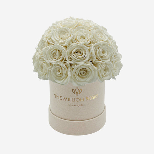 Basic Beige Suede Superdome Box | White Roses