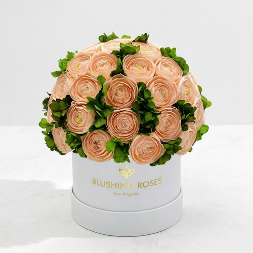 Peach Persian Buttercups & Green Hydrangeas | Classic White box | Blushing Roses