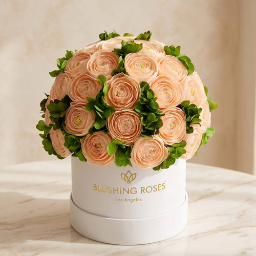 Peach Persian Buttercups & Green Hydrangeas | Classic White box | Blushing Roses