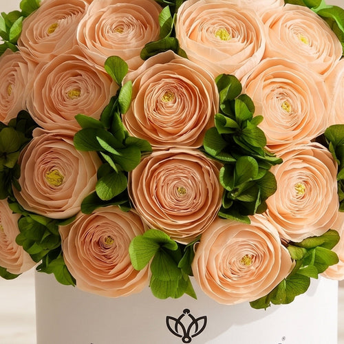 Peach Persian Buttercups & Green Hydrangeas | Classic White box | Blushing Roses